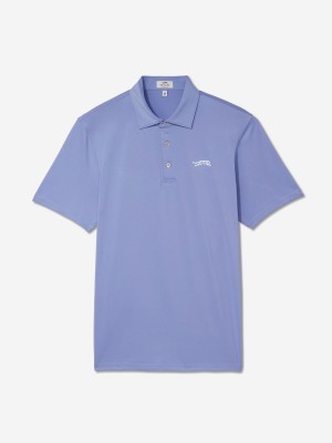 Purple Sun Day Red Fairway Solid Polo | 027LDGJZI